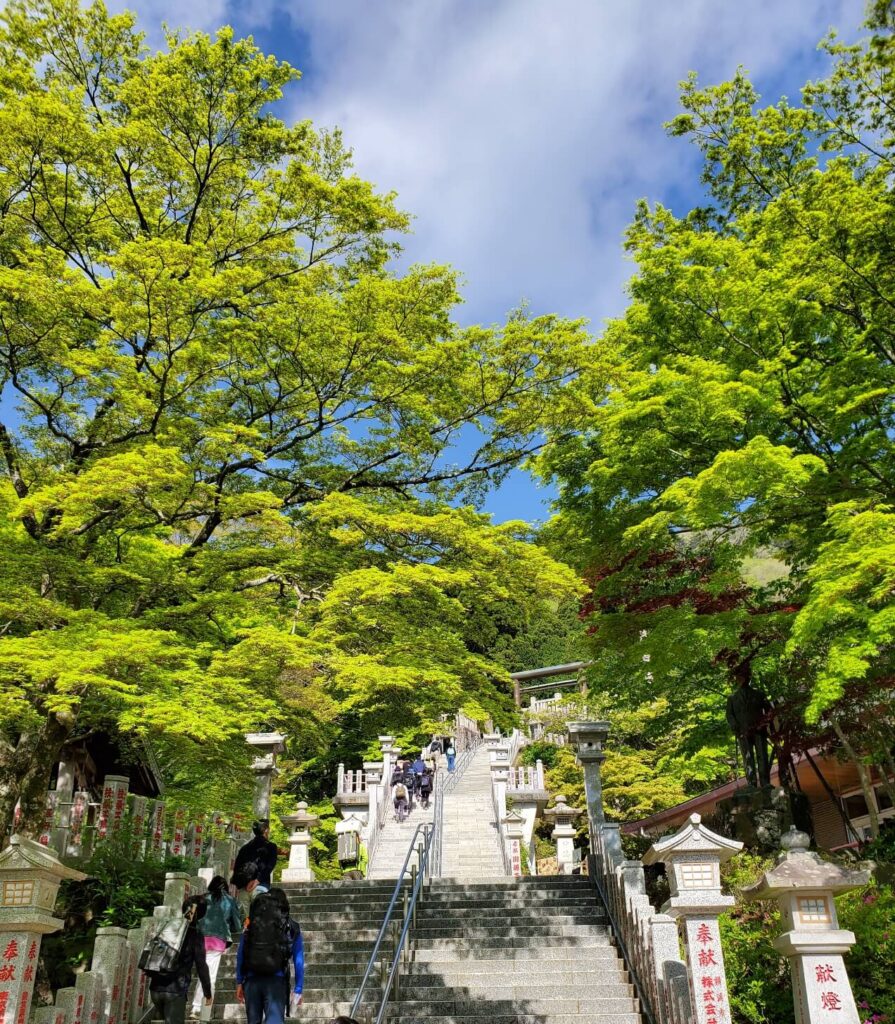 大山阿夫利神社直前の階段